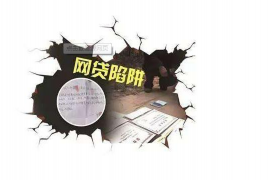 青河为什么选择专业追讨公司来处理您的债务纠纷？